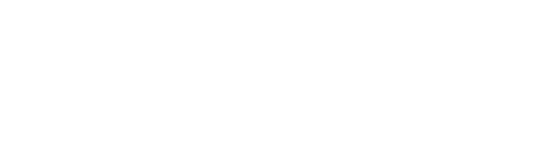 The Viking Social wordmark logo